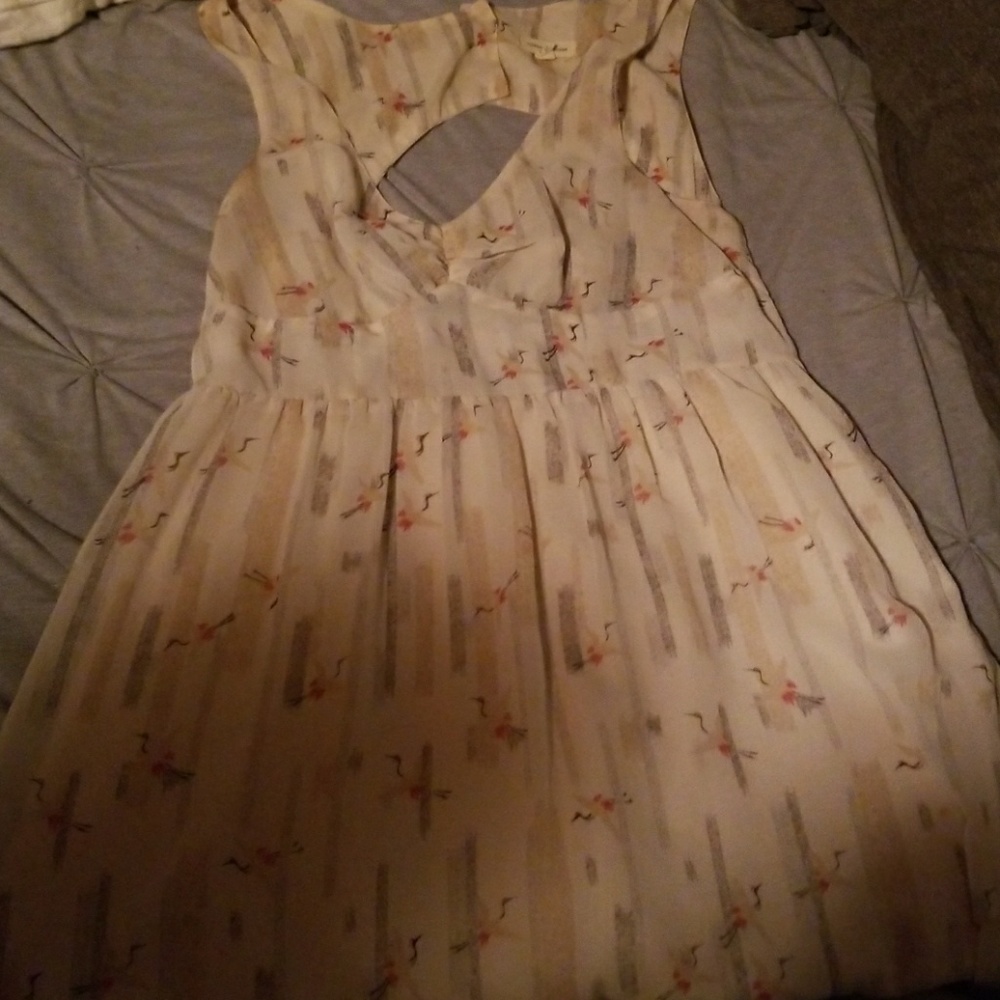 Anthropologie Sheer crane dress